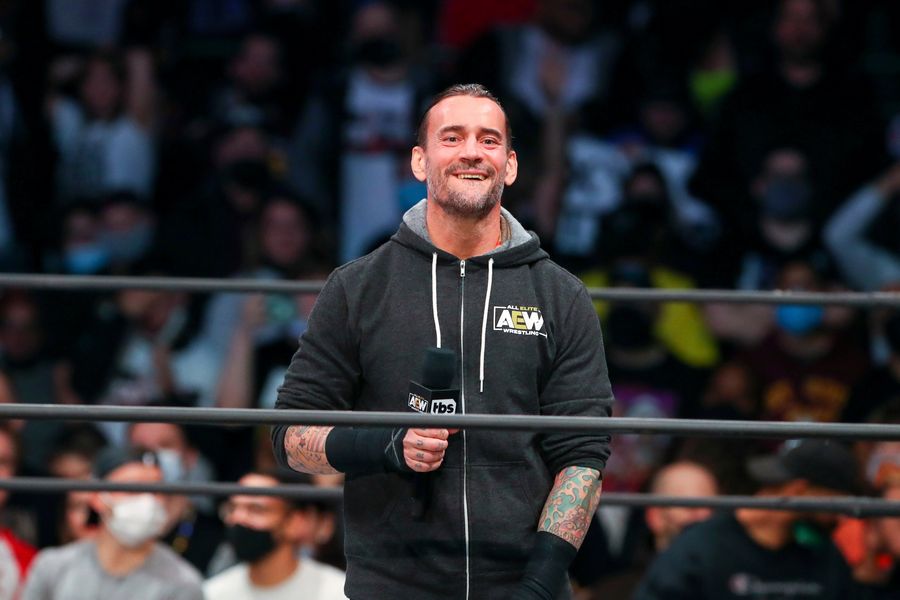 CM Punk played himself